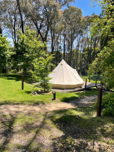 Garden Beds Glamping - Key Points