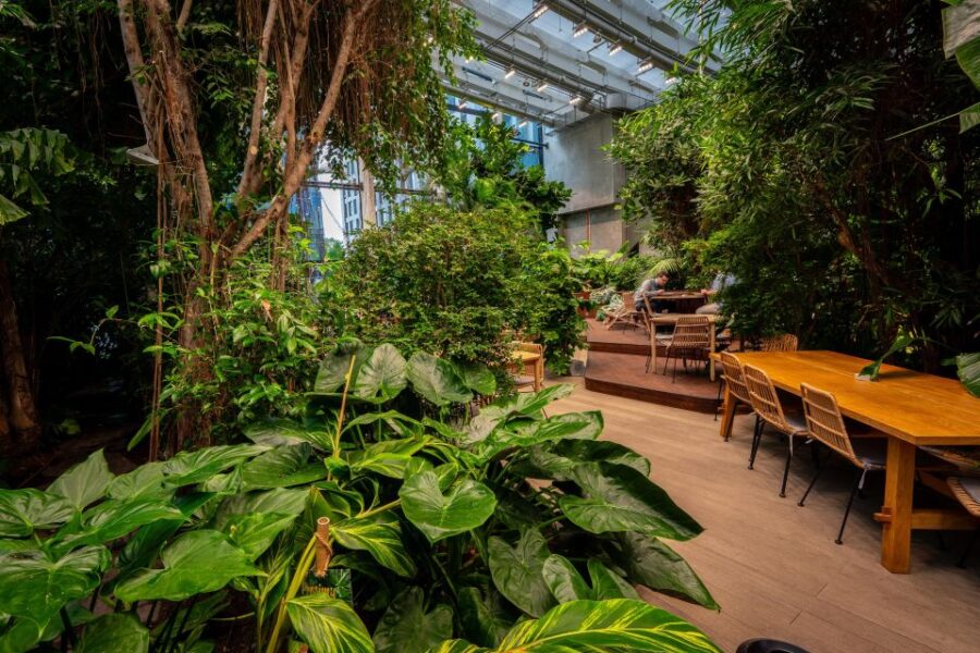 Gdańsk: Live Cuban Music and Oriental Food in Tropics - Key Points