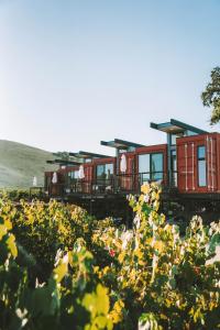 Geneseo Inn - About Your Stay