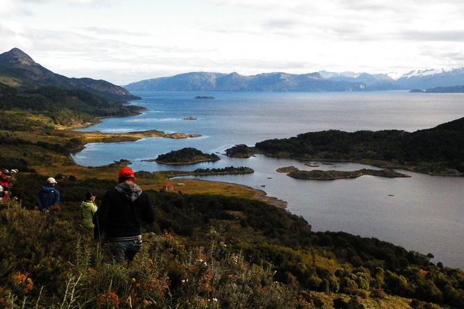 Glacial Cruise: Expedition From Ushuaia to Punta Arenas