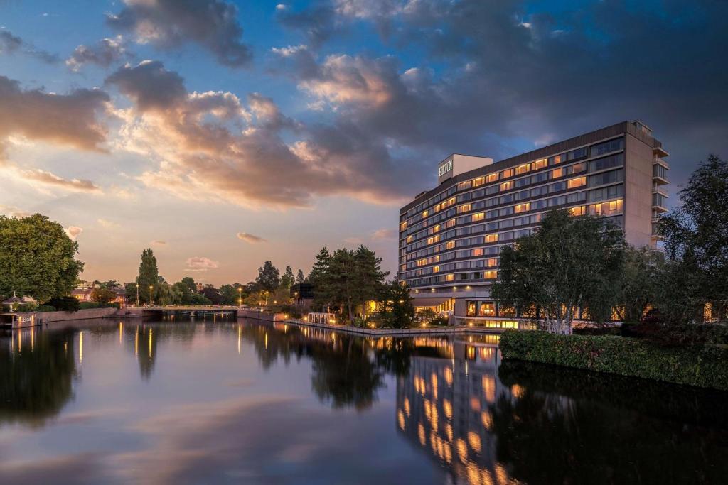 Hilton Amsterdam Review