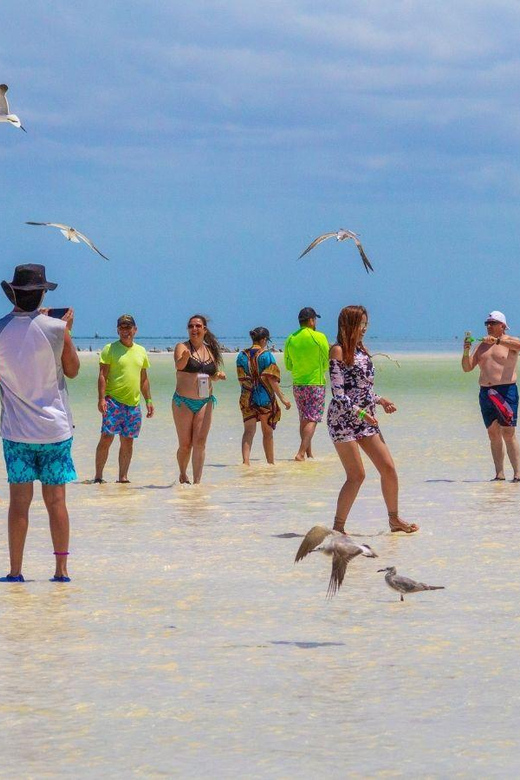 Holbox: 2 Islands Tour, Cenote, Transportation and Lunch