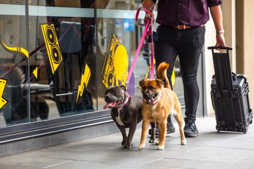 Ink Hotel Melbourne Southbank Review - Key Points