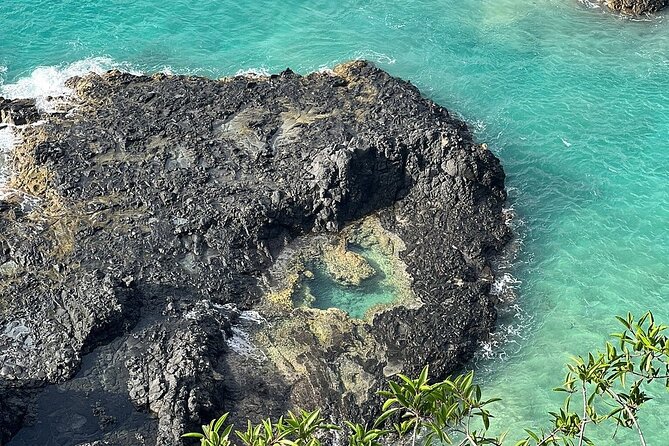 ISLAND TOUR Complete TOUR in Fernando De Noronha