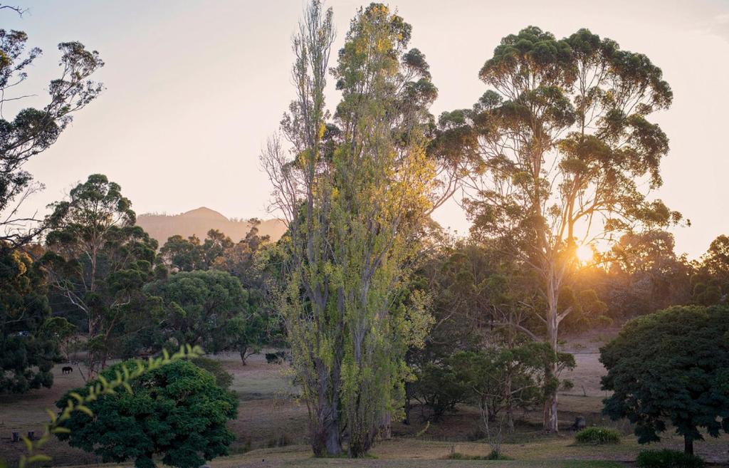 Best Hotels In Porongurup