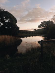 Kingsgate Farm-Stay - About Your Stay