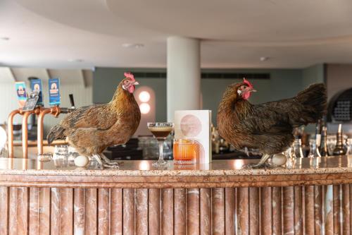 Kyah Hotel Review: A Tranquil Getaway - About Your Stay