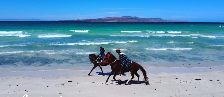 La Paz: Horseback Riding Experiences