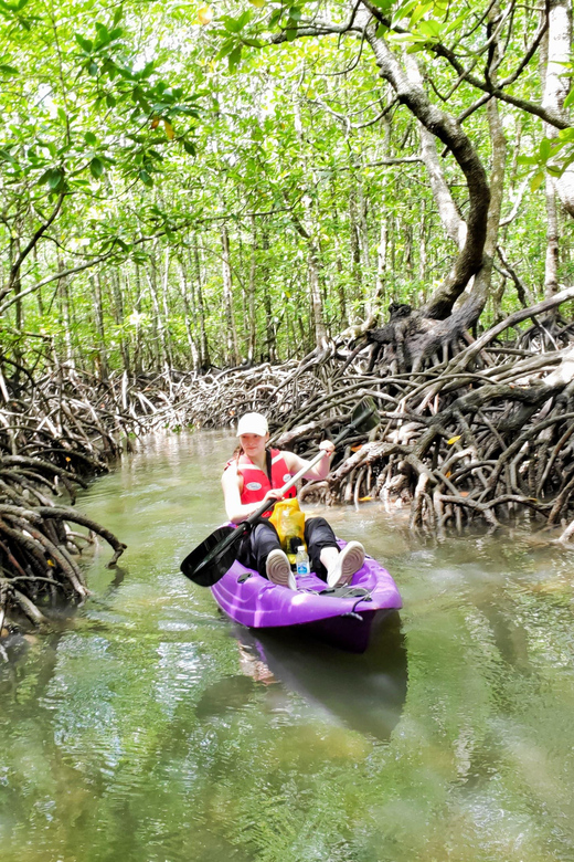 2 Best Canoe And Kayak Experiences In Kuah