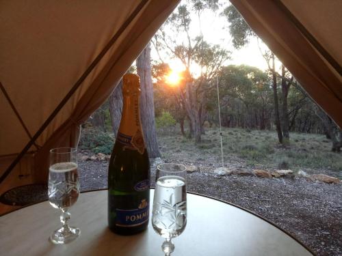Macedon Ranges Glamping - Key Points