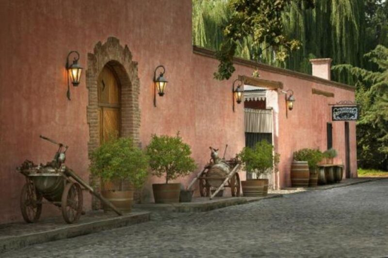 Mendoza: Wine Roads Half‐Day Tour With Regional Lunch - Key Points