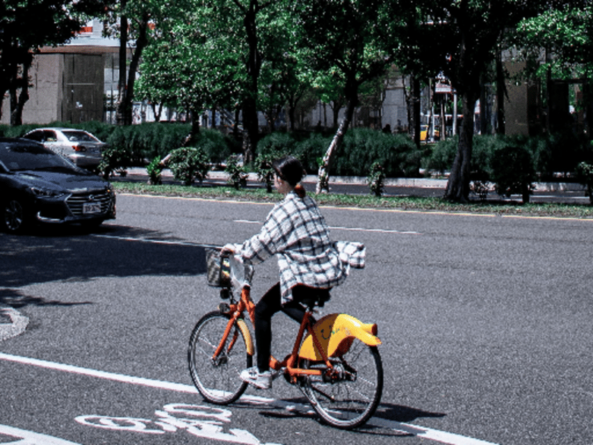Mexico City Bike Tour: Ride Into the Marvels of the Capital