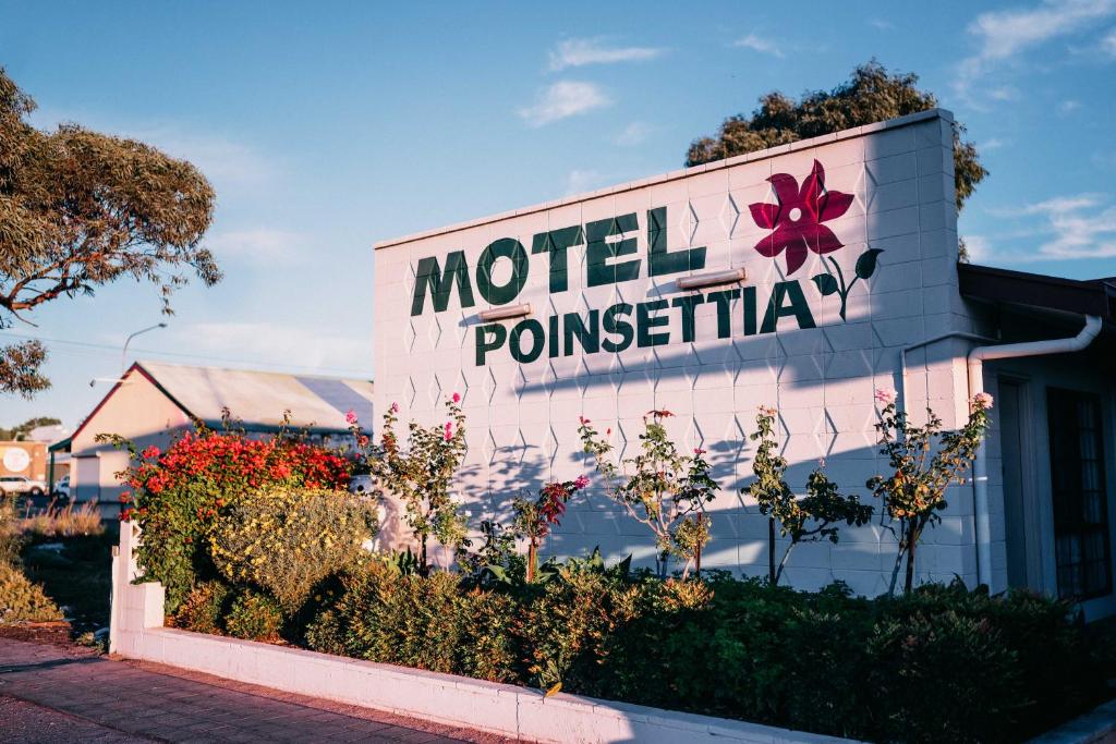 Motel Poinsettia Review