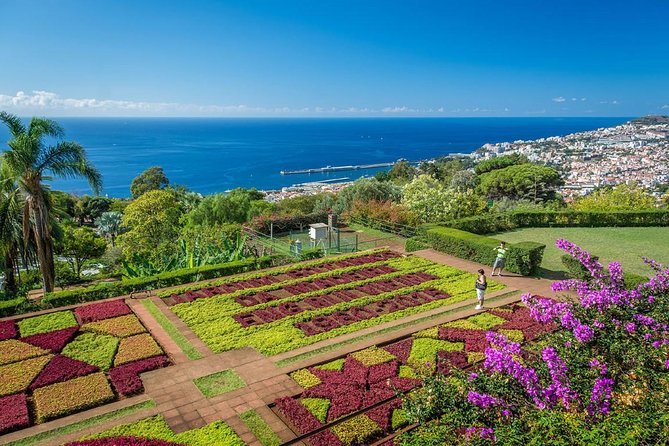 Mount And Botanical Garden