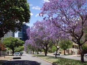 Mountway Holiday Apartments - About Your Stay
