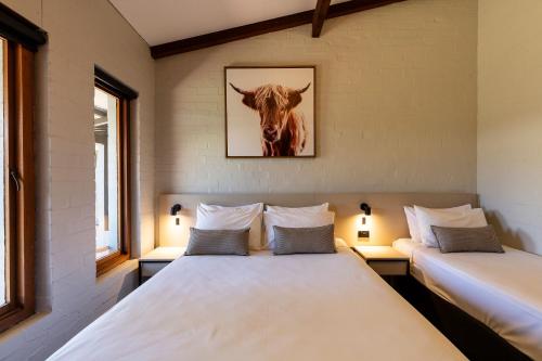 Nightcap at Wintersun Hotel - About Your Stay