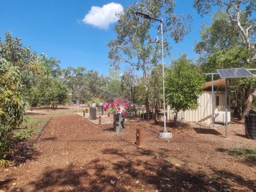Ninas Ark Wildlife Sanctuary Package - About Your Stay