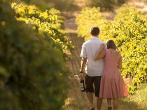 Novotel Barossa Valley Resort - Key Points