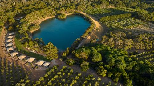 Olio Bello Lakeside Glamping - About Your Stay