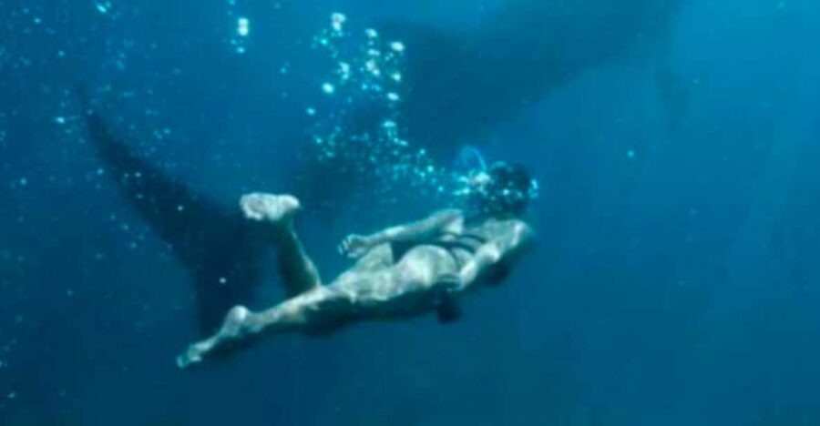 OSLOB & KAWASAN DAYTOUR W/ BADIAN CANYONEERING
