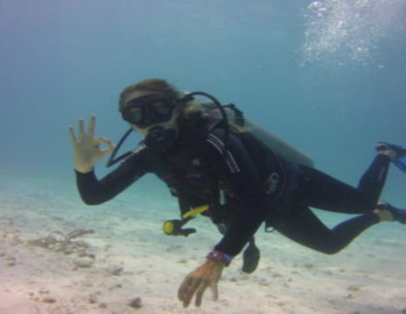 Playa: Scuba Discovery