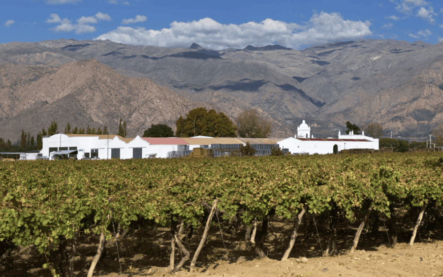 Private Salta to Mendoza, Driving Through Route No. 40
