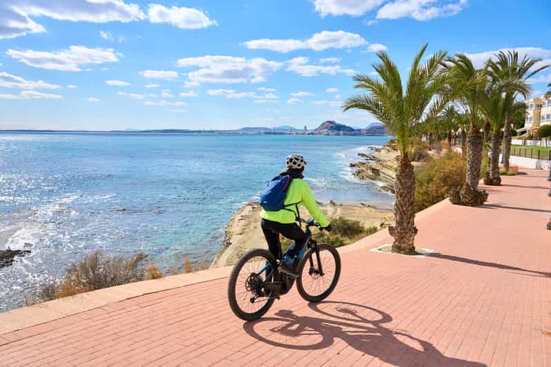 Puerto Vallarta: Half Day Taco and Ebike Tour - Tour Overview and Details