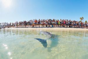 RAC Monkey Mia Dolphin Resort - About Your Stay