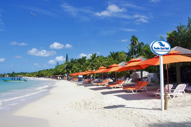 Roatan Excursion: Horseback Ride / Plus Sloth Park and Beach Break - Logistics and Transportation