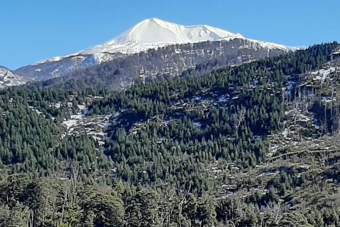 San Martin De Los Andes