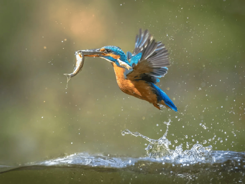 Selangor: Paya Indah Discovery Wetlands at Gamuda Cove