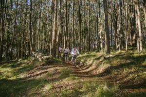 Spicers Peak Lodge - Key Points