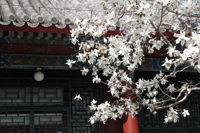 Summer PalaceMing Tombs/Heaven Temple/China National Museum Tour - Pricing and Availability