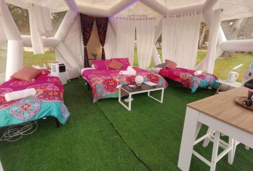 Taj Mahal Upgraded Hex Bubble - About Your Stay