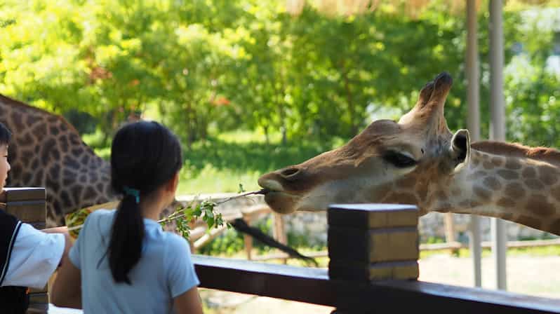 Teotihuacan Safari: Wildlife & Archeology Family Adventure