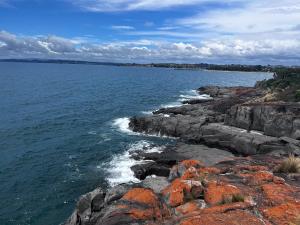 The Dannebrog Lodge - About Your Stay
