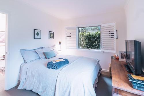 The Otway Haven - Key Points