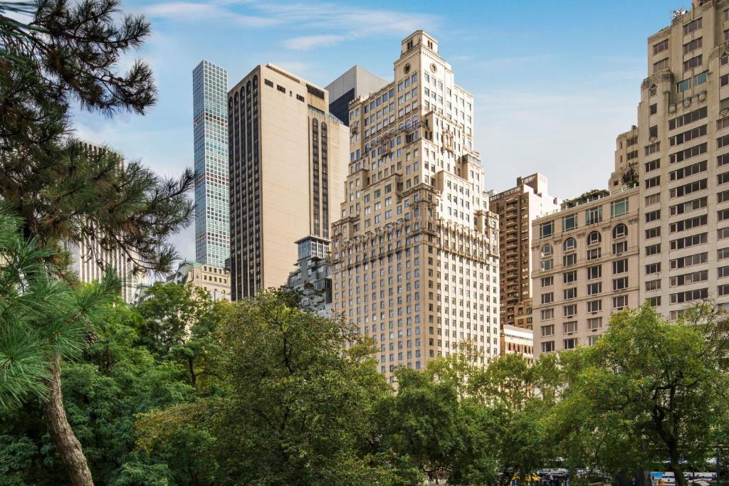 The Ritz-Carlton New York, Central Park - About Your Stay