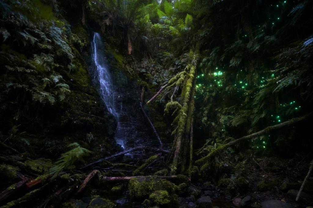 The Source, Otways - Key Points