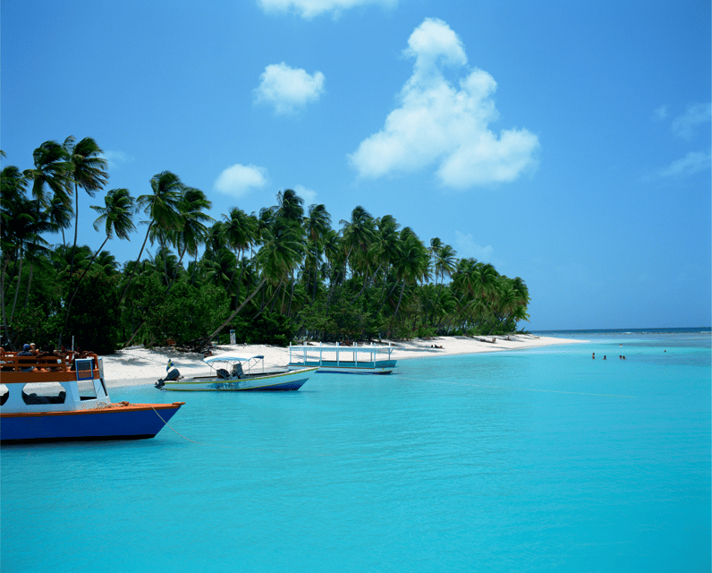 Best Tours In Scarborough Trinidad And Tobago