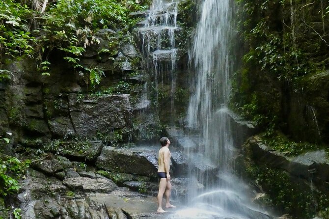 Visit Waterfalls and Caves in Tijuca Forest - Itinerary and Highlights