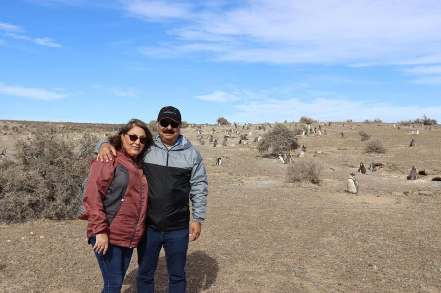 Walk With the Penguins: Punta Tombo for Cruise Passengers