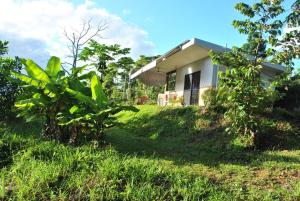 Wompoo Eco Retreat - Key Points