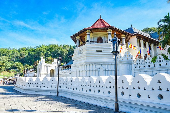 05 Days Glimpse Of Sri Lanka