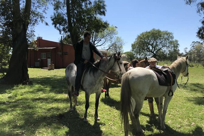 1.5 Hr Horseback Riding Montevideo, Uruguay, With Transportation - Tour Details and Inclusions