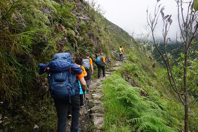 1 Day Inca Trail Tour to Machu Picchu Hike - Tour Overview