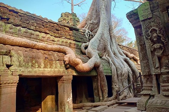 1 Day-Temple Tours + Sunrise