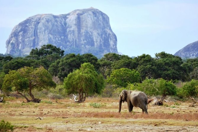 2 Best National Park Tours In Kalutara