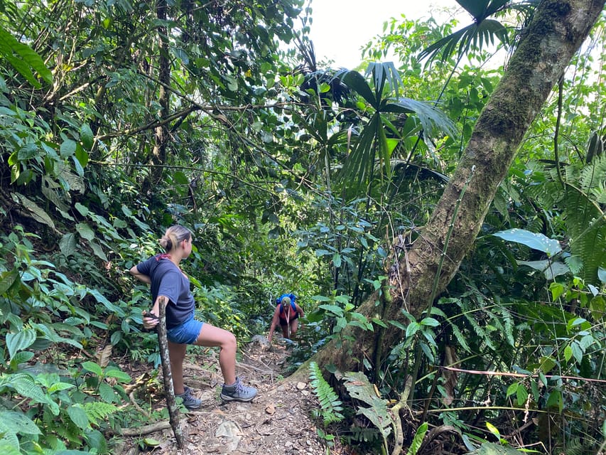 1-Day Trip From Medellín: Paragliding & Swim in Waterfall