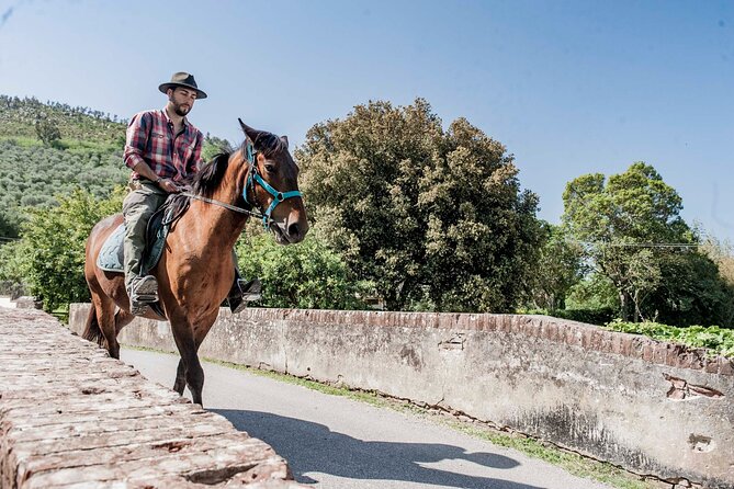 1 Hour Horseback Ride in Valgraziosa Pisa
